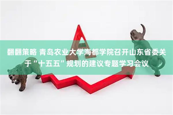 翻翻策略 青岛农业大学海都学院召开山东省委关于“十五五”规划的建议专题学习会议