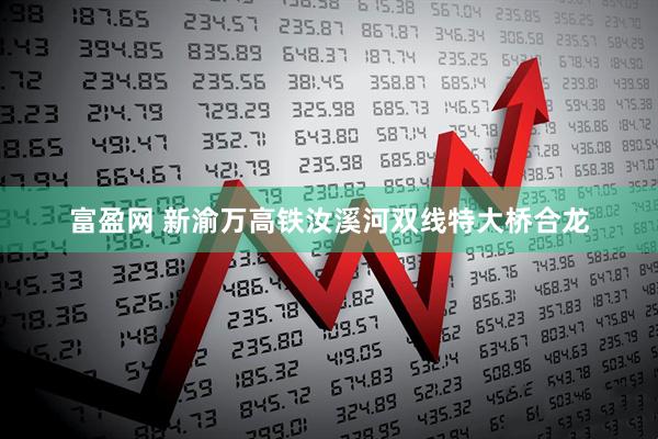 富盈网 新渝万高铁汝溪河双线特大桥合龙
