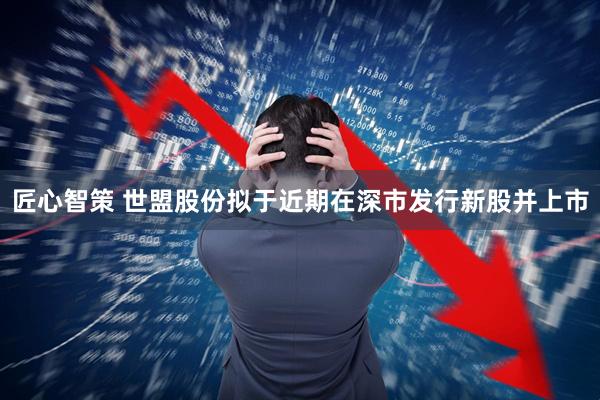 匠心智策 世盟股份拟于近期在深市发行新股并上市