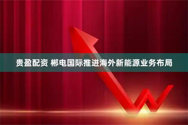 贵盈配资 郴电国际推进海外新能源业务布局