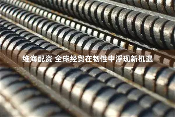 维海配资 全球经贸在韧性中浮现新机遇