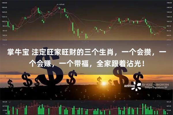 掌牛宝 注定旺家旺财的三个生肖，一个会攒，一个会赚，一个带福，全家跟着沾光！